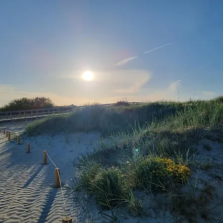 Pabst - Dittmann Dornum